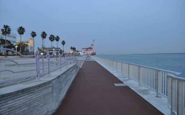 DSC_0347Re