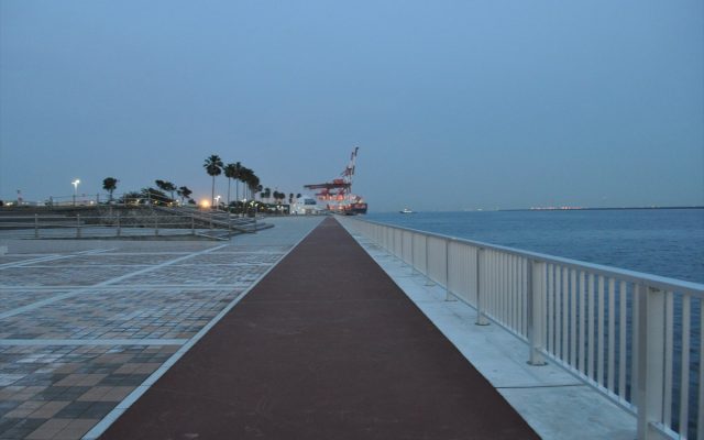 DSC_0355Re