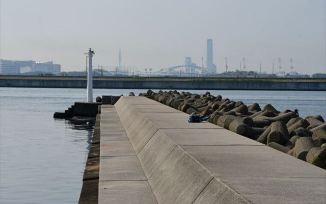DSC_5195_R_R