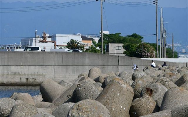 DSC_5232_R_R