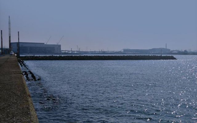 DSC_5242_R_R