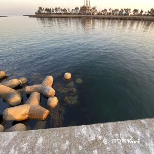 生穂漁港｜釣り場Navi