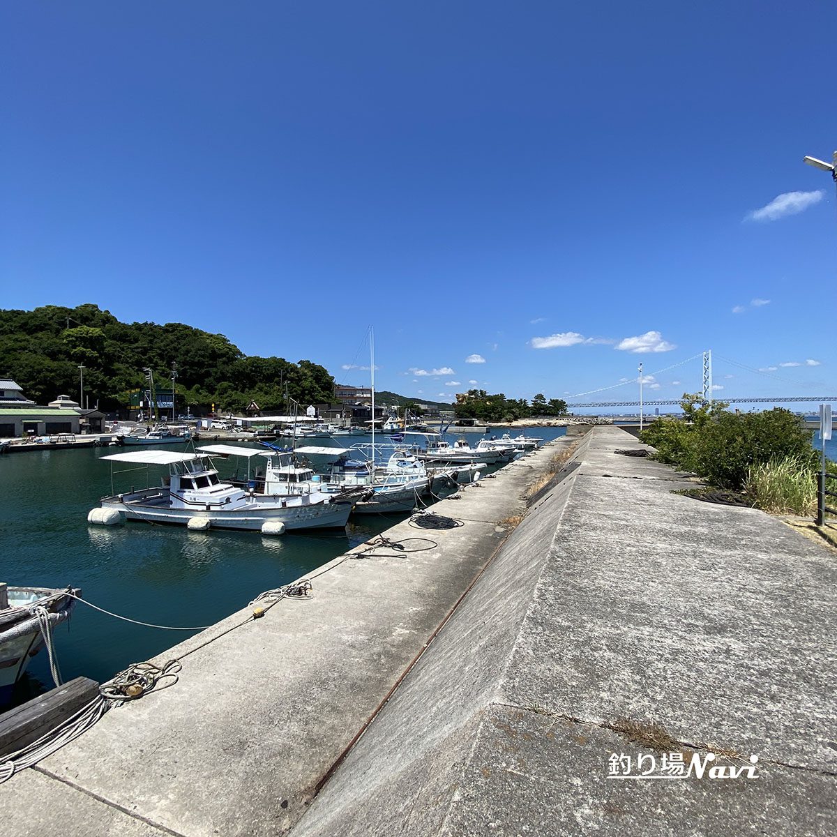 岩屋漁港｜釣り場Navi