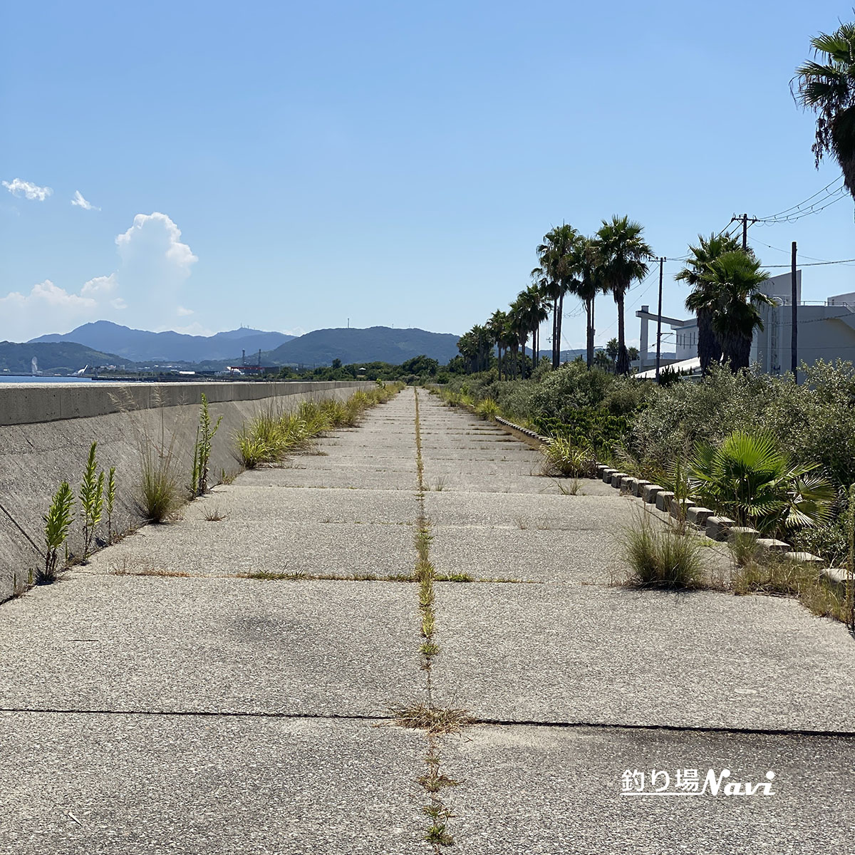 津名港 佐野東防波堤｜釣り場Navi