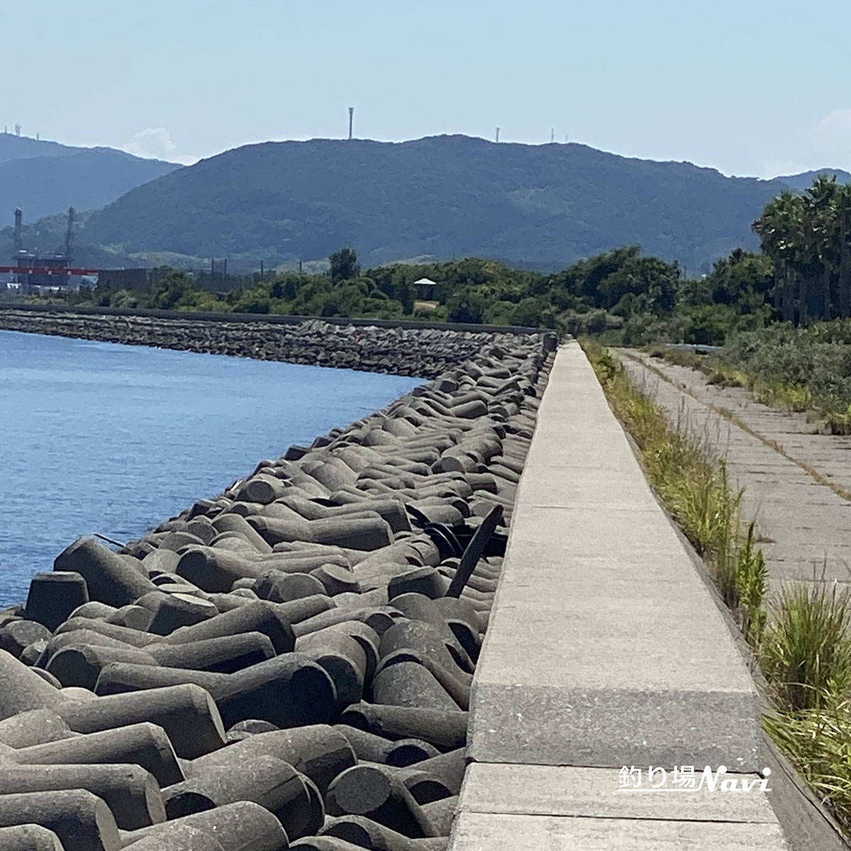 津名港 佐野東防波堤｜釣り場Navi