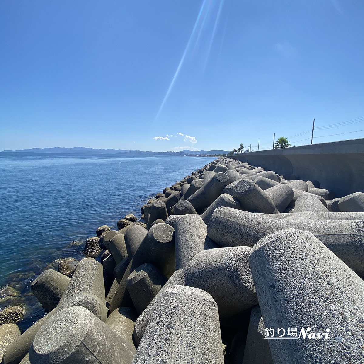 津名港 佐野東防波堤｜釣り場Navi