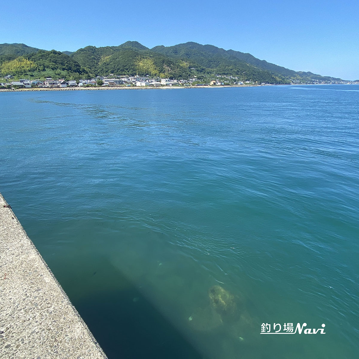 津名港 佐野東防波堤｜釣り場Navi