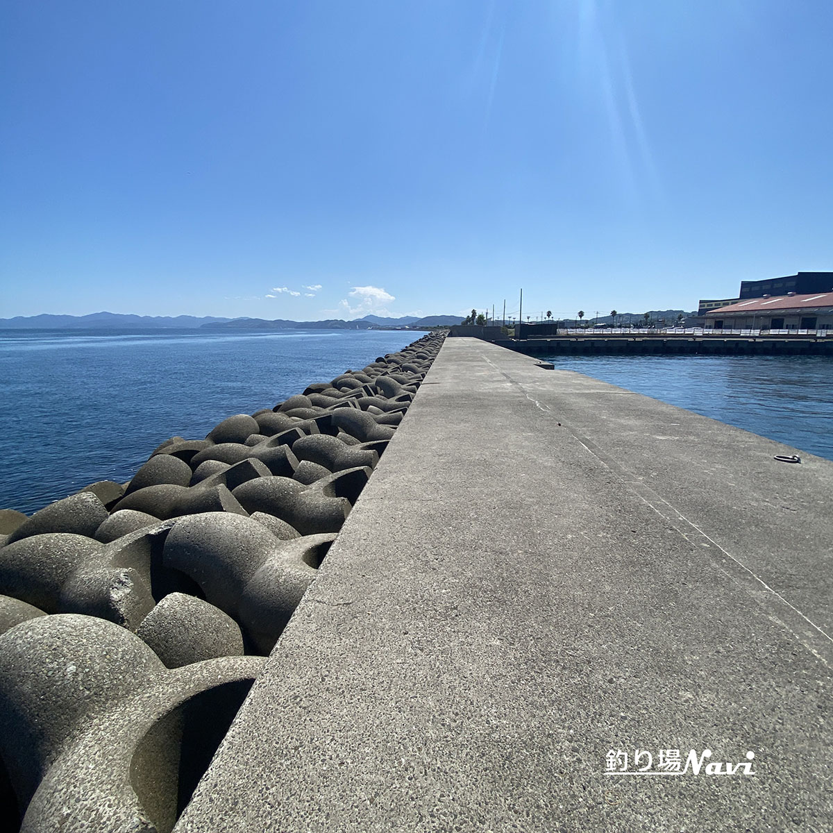 津名港 佐野東防波堤｜釣り場Navi