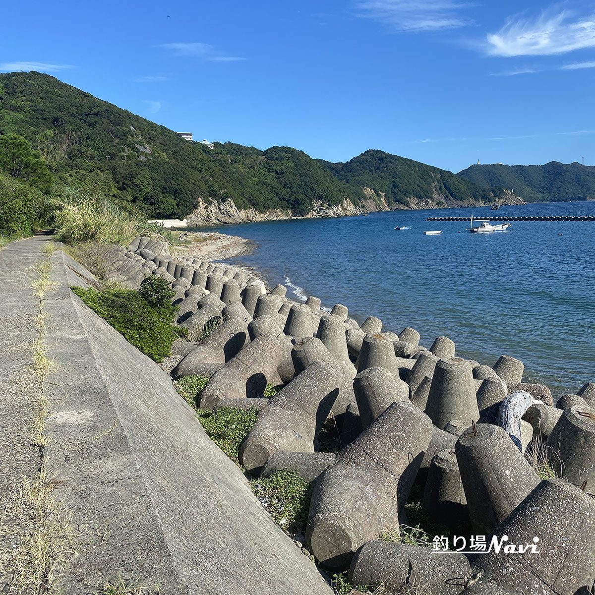 かるも公園｜釣り場Navi