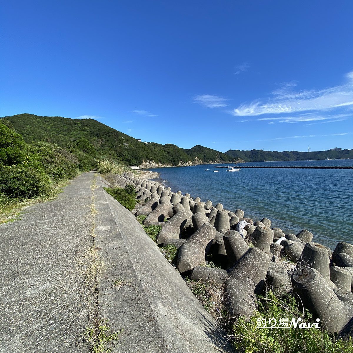 かるも公園｜釣り場Navi