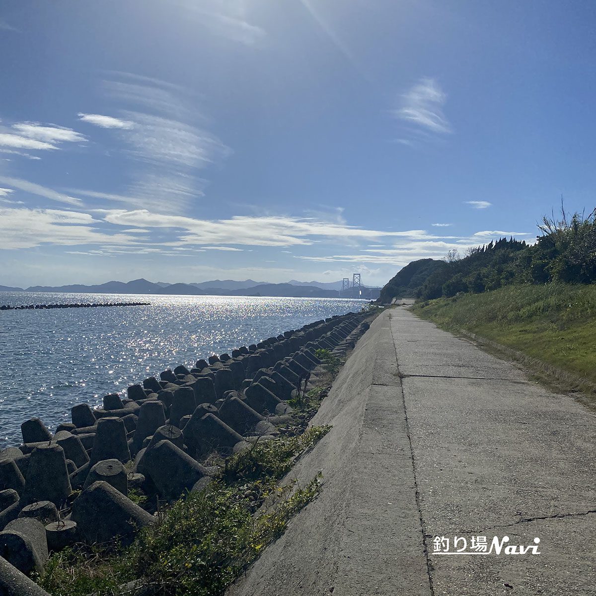 かるも公園｜釣り場Navi