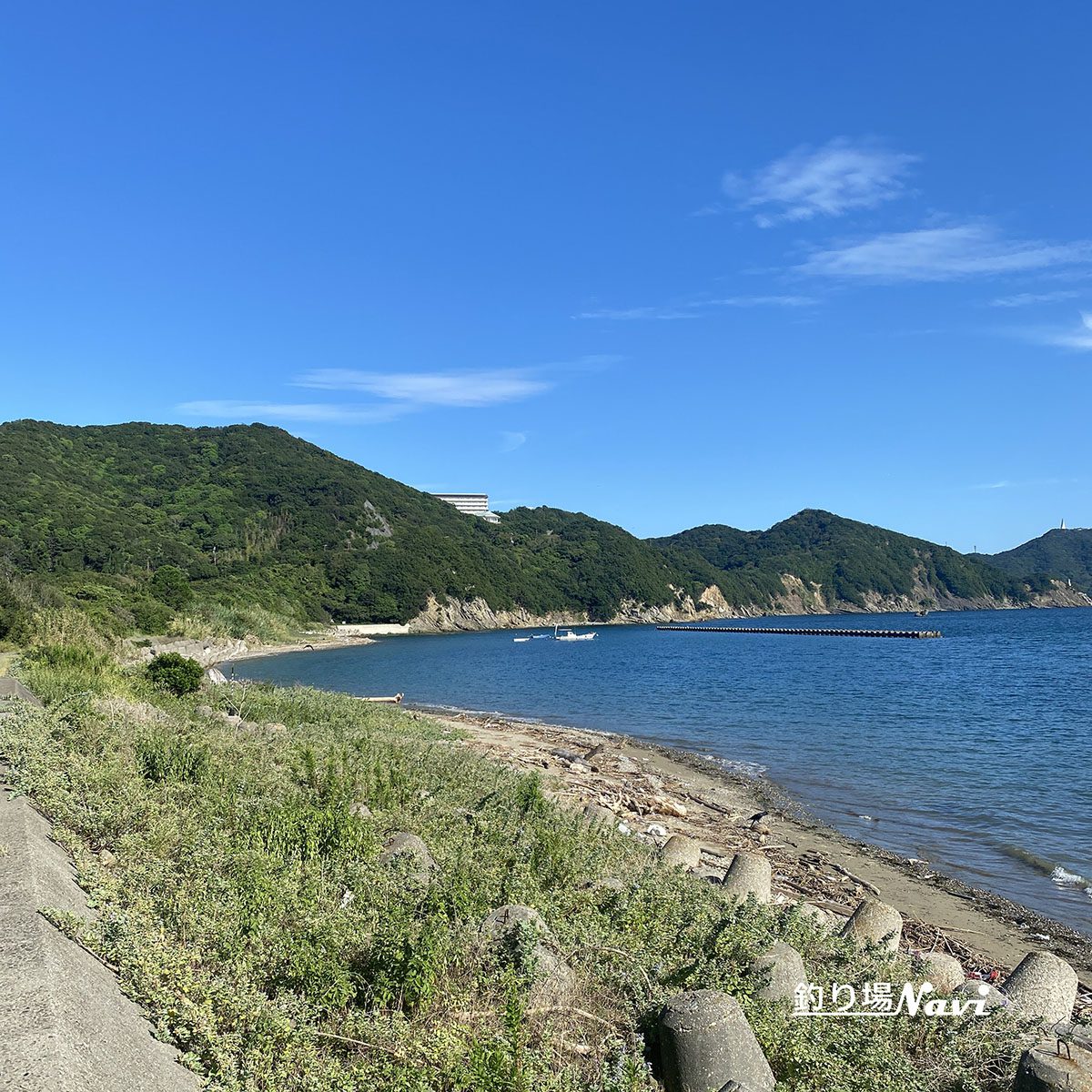 かるも公園｜釣り場Navi