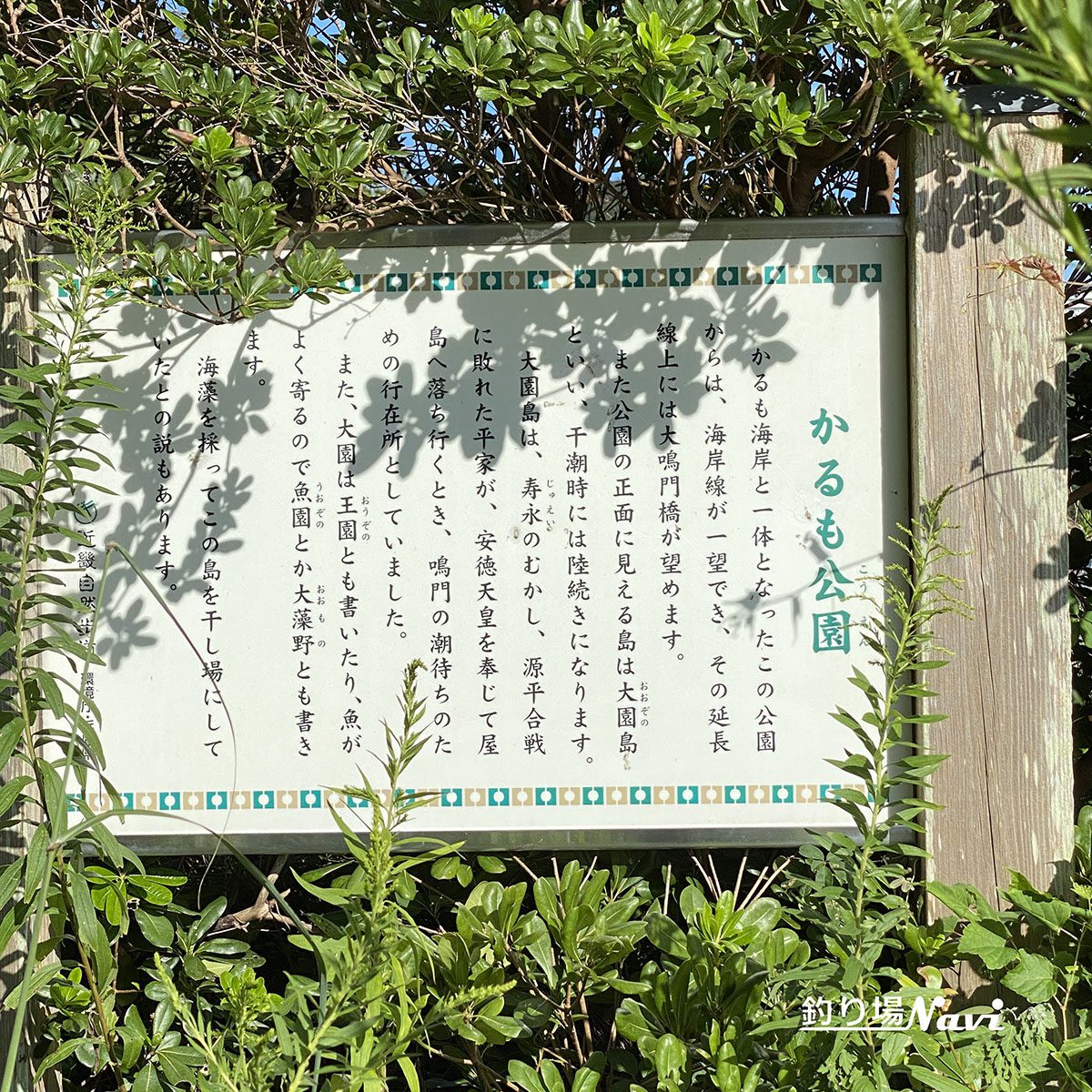 かるも公園｜釣り場Navi