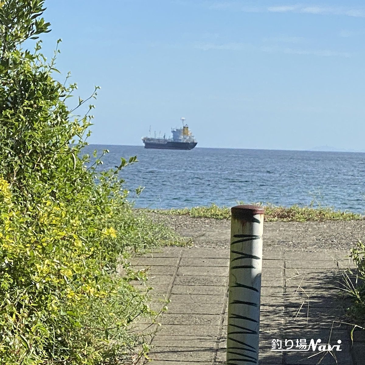 かるも公園｜釣り場Navi