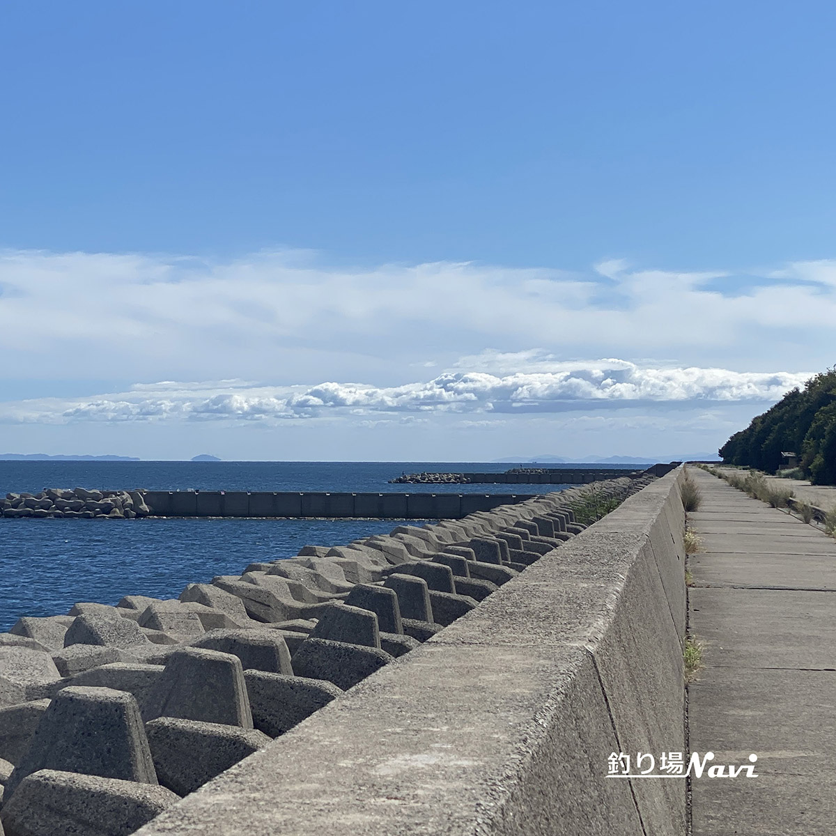 灘浜緑地（姫路市）｜釣り場Navi