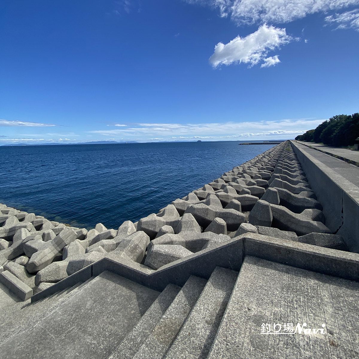 灘浜緑地（姫路市）｜釣り場Navi