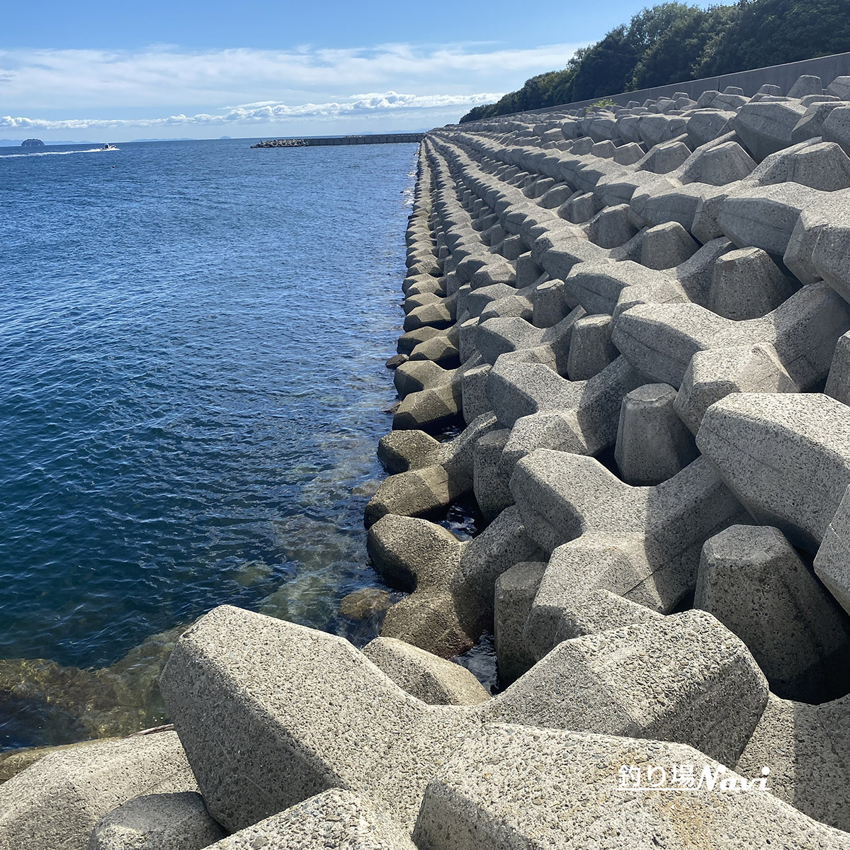 灘浜緑地（姫路市）｜釣り場Navi