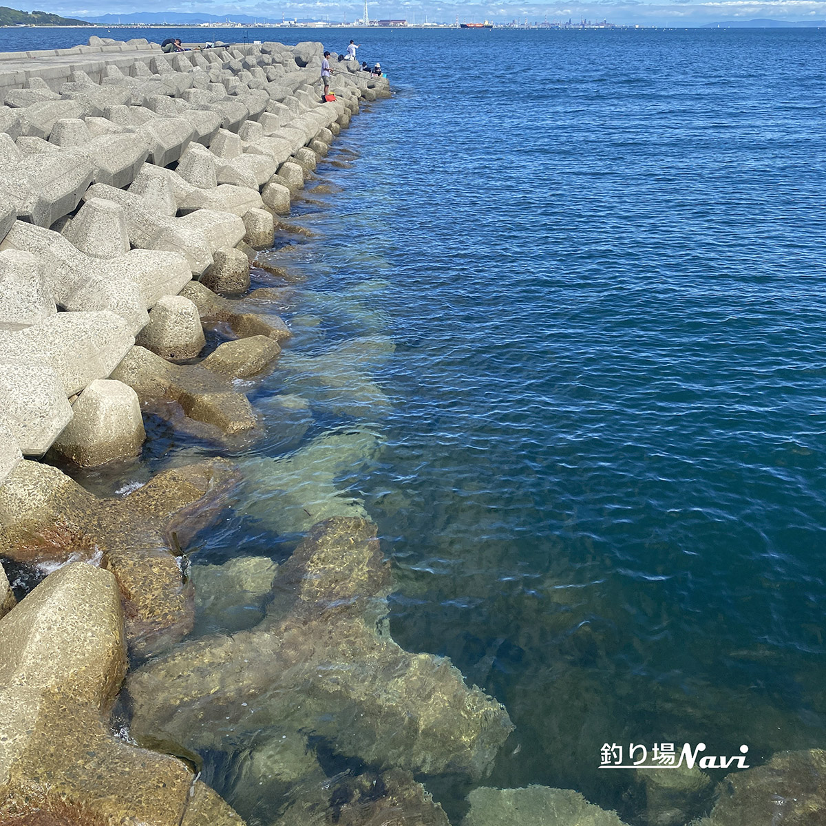 灘浜緑地（姫路市）｜釣り場Navi