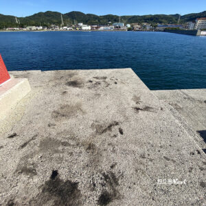 淡路島 富島港北防波堤｜釣り場Navi