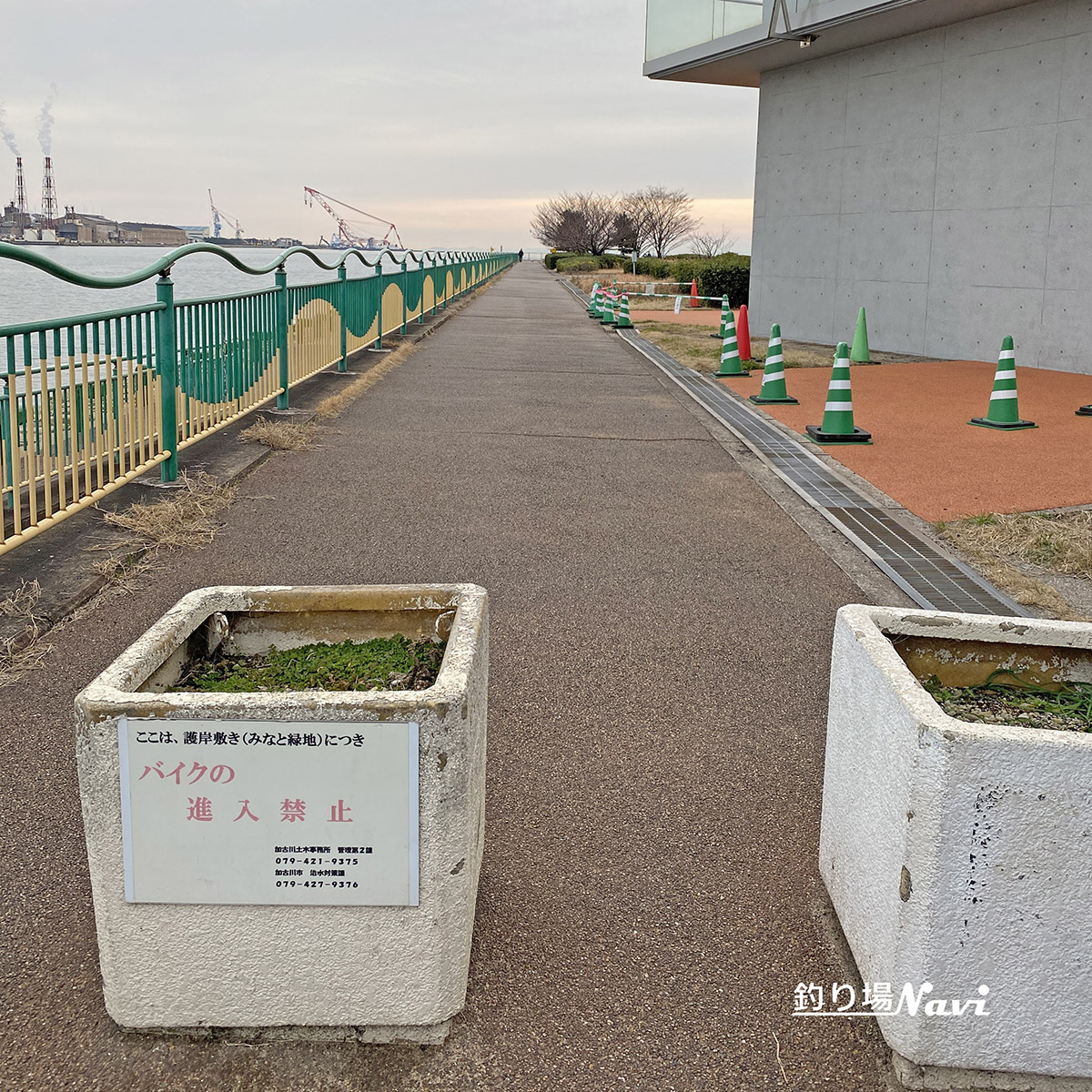 別府みなと緑地｜釣り場Navi