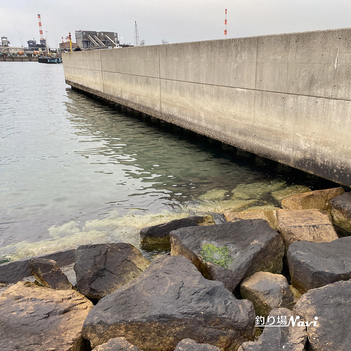 別府みなと緑地｜釣り場Navi