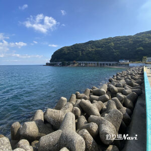 大浜海岸 千畳敷｜釣り場Navi