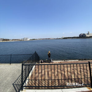 芦屋浜 東護岸｜釣り場Navi