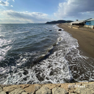 大塩海岸｜釣り場Navi