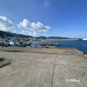 由良・新川口漁港｜釣り場Navi