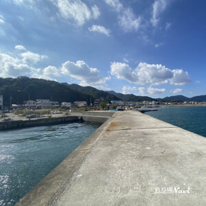 由良・新川口漁港｜釣り場Navi