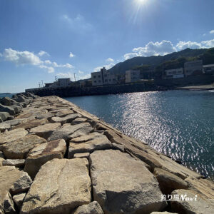 由良・新川口漁港｜釣り場Navi