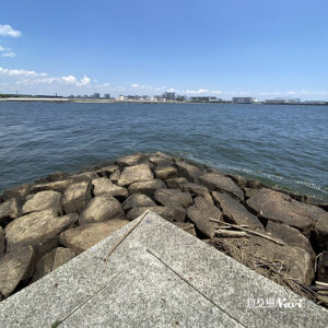 甲子園浜海浜公園｜釣り場Navi
