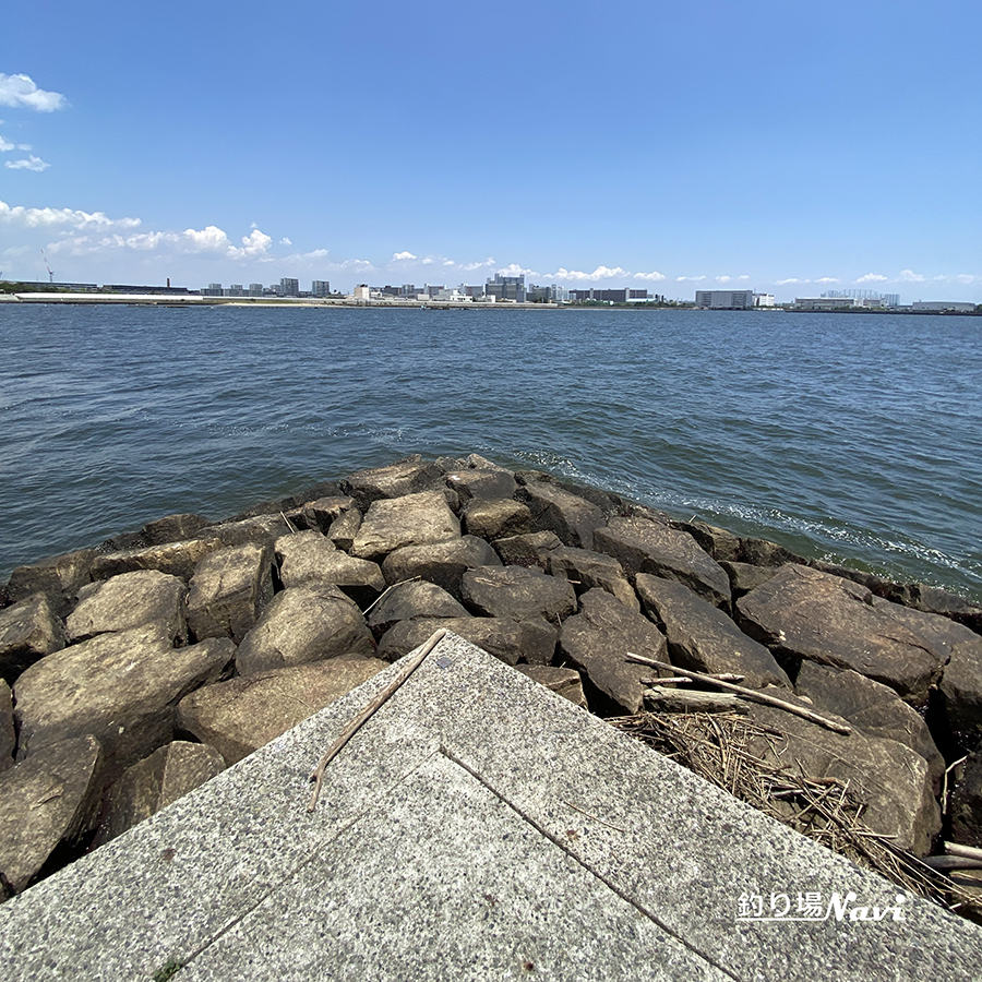 甲子園浜海浜公園|釣り場Navi