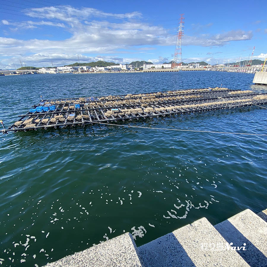 妻鹿漁港東防波堤|釣り場Navi