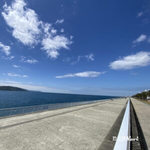 大蔵海岸公園｜釣り場Navi