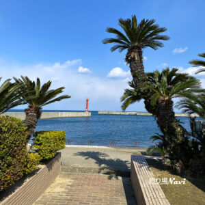 淡路島 中浜公園｜釣り場Navi