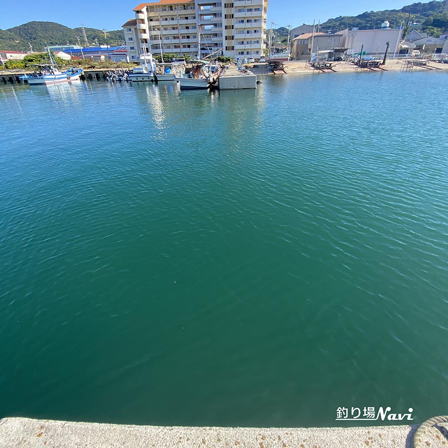 富島漁港|釣り場Navi