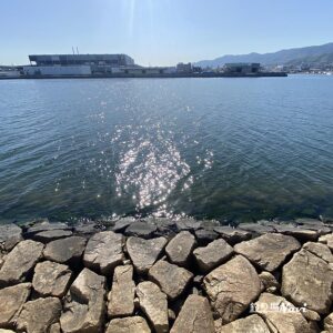 芦屋浜 西護岸（芦屋川河口）｜釣り場Navi