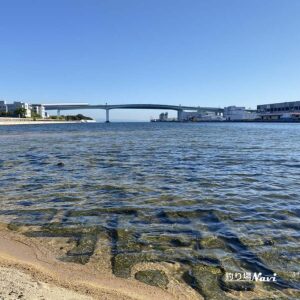 芦屋浜 西護岸（芦屋川河口）｜釣り場Navi