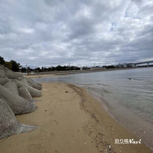 芦屋浜 西護岸（芦屋川河口）｜釣り場Navi