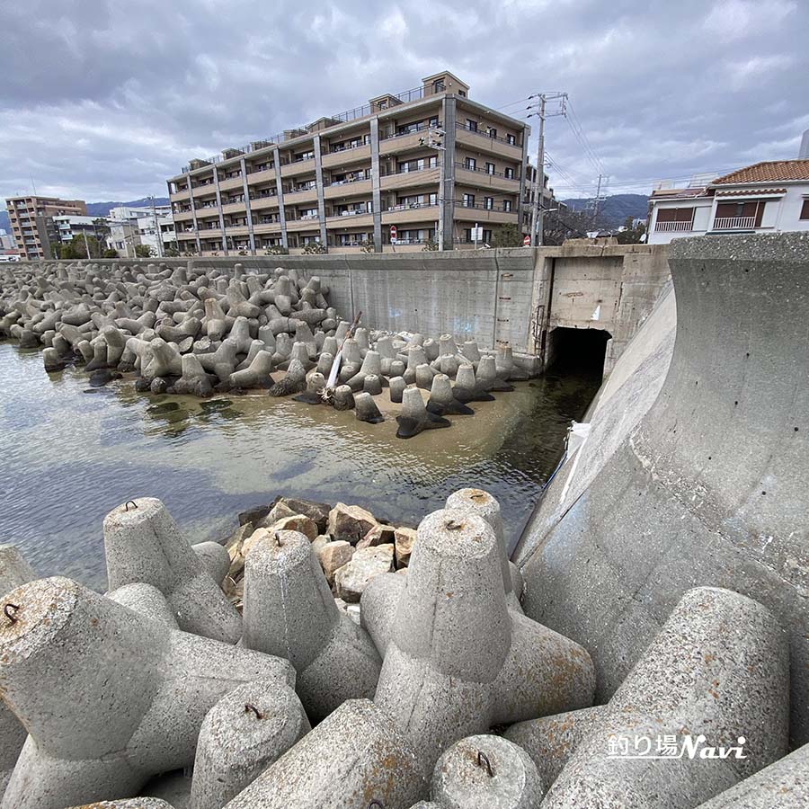 芦屋浜 西護岸(芦屋川河口)|釣り場Navi