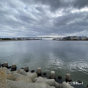 芦屋浜 西護岸（芦屋川河口）｜釣り場Navi