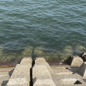 東播磨港伊保灯台｜釣り場Navi