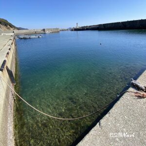 仁頃漁港｜釣り場Navi