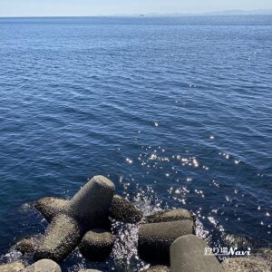 仁頃漁港｜釣り場Navi