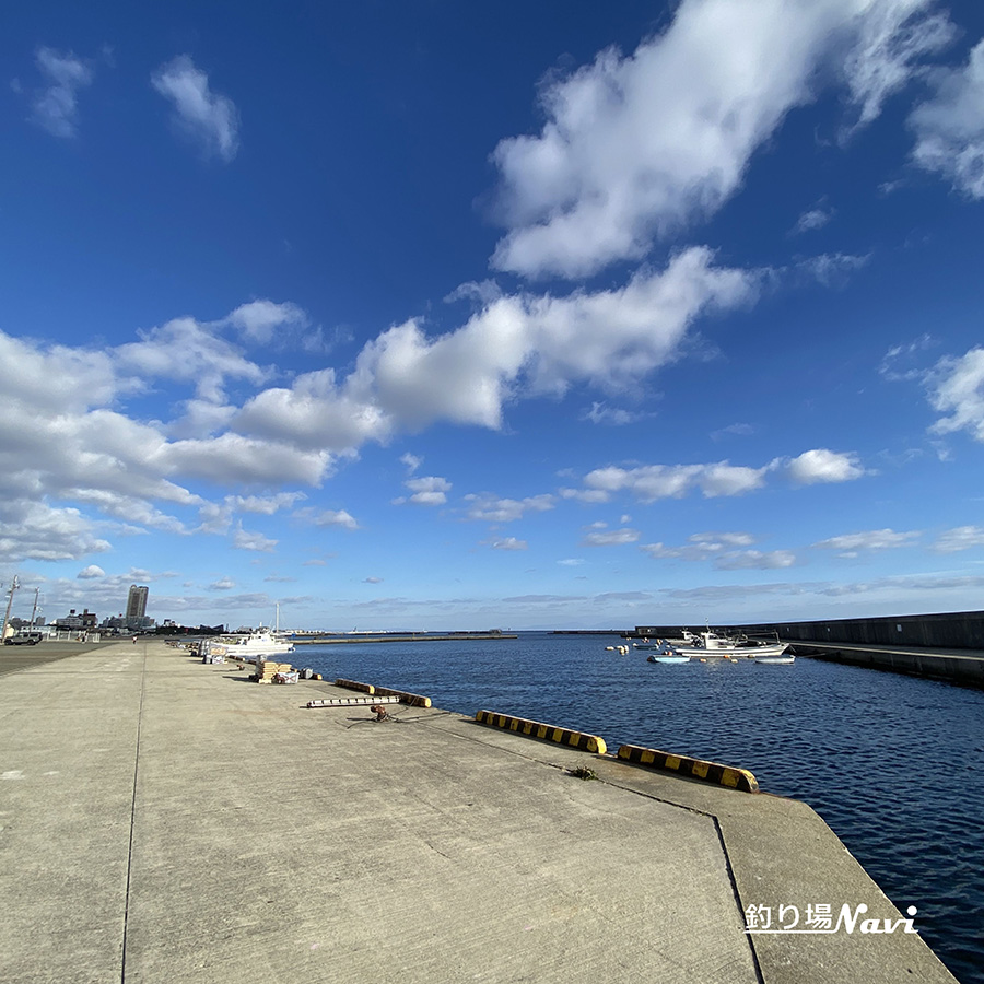 須磨浦漁港(須磨浦漁船だまり)|釣り場Navi