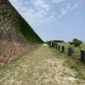 須磨浦漁港（須磨浦漁船だまり）｜釣り場Navi