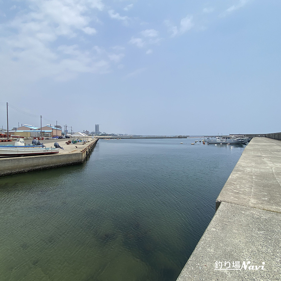 須磨浦漁港(須磨浦漁船だまり)|釣り場Navi