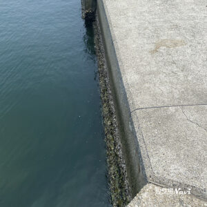 須磨浦漁港（須磨浦漁船だまり）｜釣り場Navi