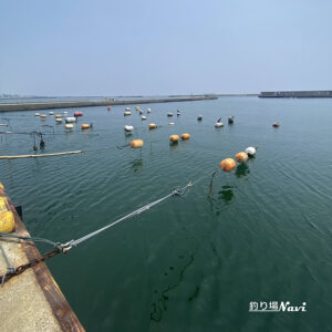 須磨浦漁港（須磨浦漁船だまり）｜釣り場Navi